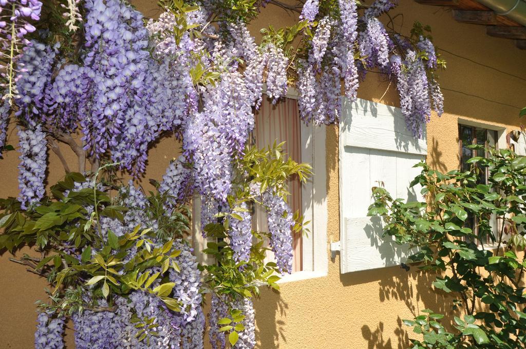 Francheleins B&B La Cerisaie المظهر الخارجي الصورة
