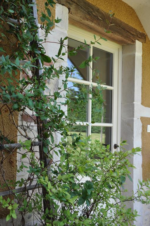 Francheleins B&B La Cerisaie الغرفة الصورة